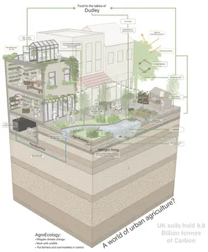 Nurturing AgroEcology in Urban Life
A strategy for living alongside food production

A critical part of the climate crisis is the degradation of soil, leading to scientists predicting the UK has approximately 100 harvests left of stable crop production. As an attempt to address the problem this project will explore the possibility of integrating sustainable agriculture into an urban setting, reducing the strain on agricultural land, reducing food miles and widening city biodiversity. Taking guidance from the farming movement, ‘Agroecology,’ a climate conscious, wildlife supporting and community engaged closed loop system will be developed, combining traditional growing with technology driven techniques that will support each other to produce a diverse plate.

Dudley High Street will be the focal point, reinvented as a destination not just for the purchase and consumption of food but also its creation, driven by the needs and engagement of local people. Connecting the community to the food they eat. - Annabel Linch 1.png